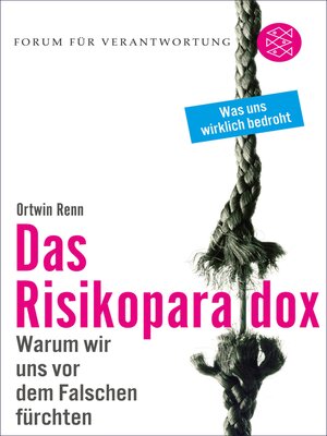 cover image of Das Risikoparadox